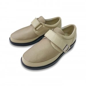 CHERVIL　チャービル　 2026秋冬限定色