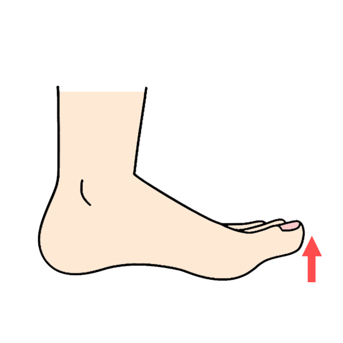 足指が地面についていない