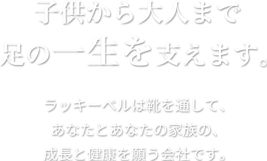 保存版 日本産 ファインモード 硬調 波止メバル フィッシング 硬調 530 フィッシング 宇崎日新 フィッシングマックス店信頼の日新スタンダードメバル ロッド